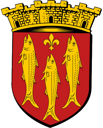 Ville de Nesle